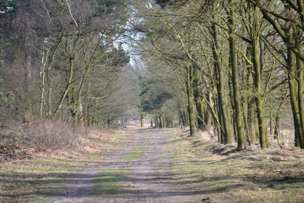 Auberge De Moerse Hoeve Экстерьер фото